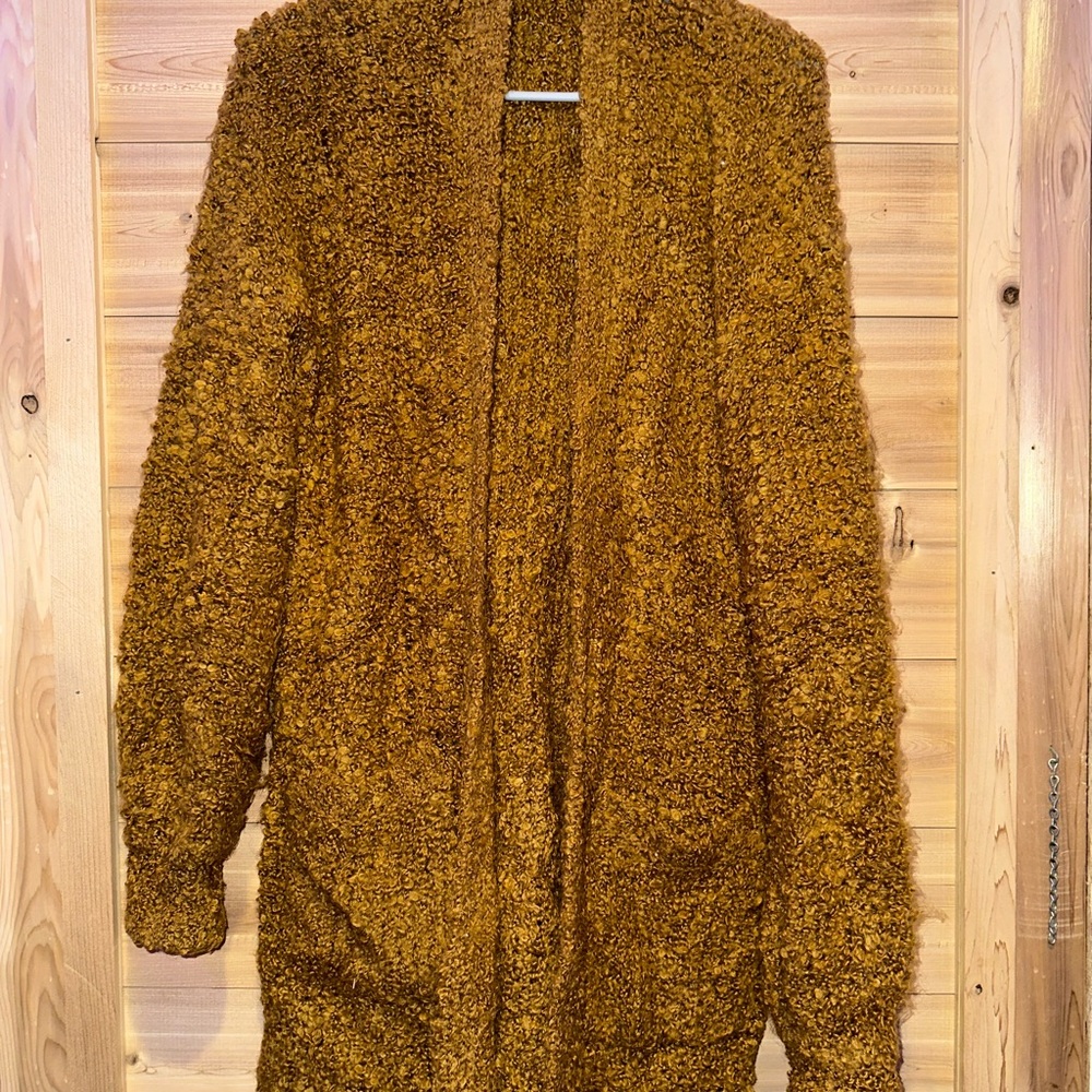 American Eagle Cardigan